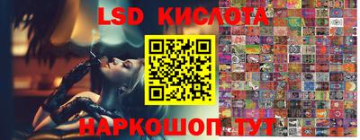 крисы Свободный