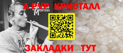 крисы Свободный