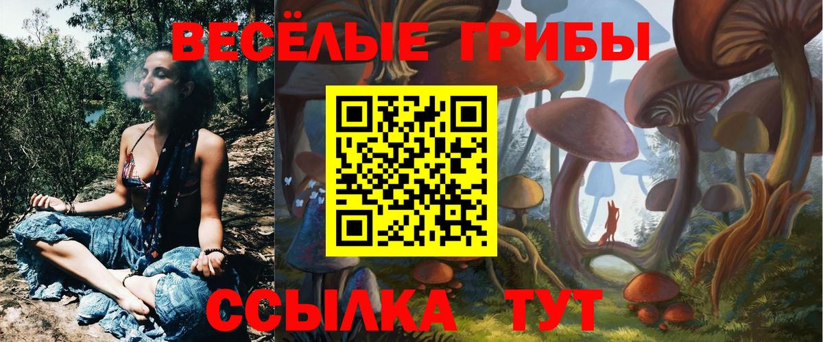 Галлюциногенные грибы GOLDEN TEACHER Пыть-Ях